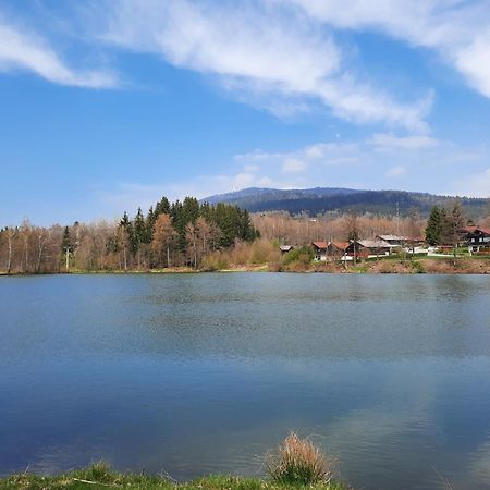 Fewo Bayerischer Wald Im Lamer Winkel 阿尔拉赫 外观 照片