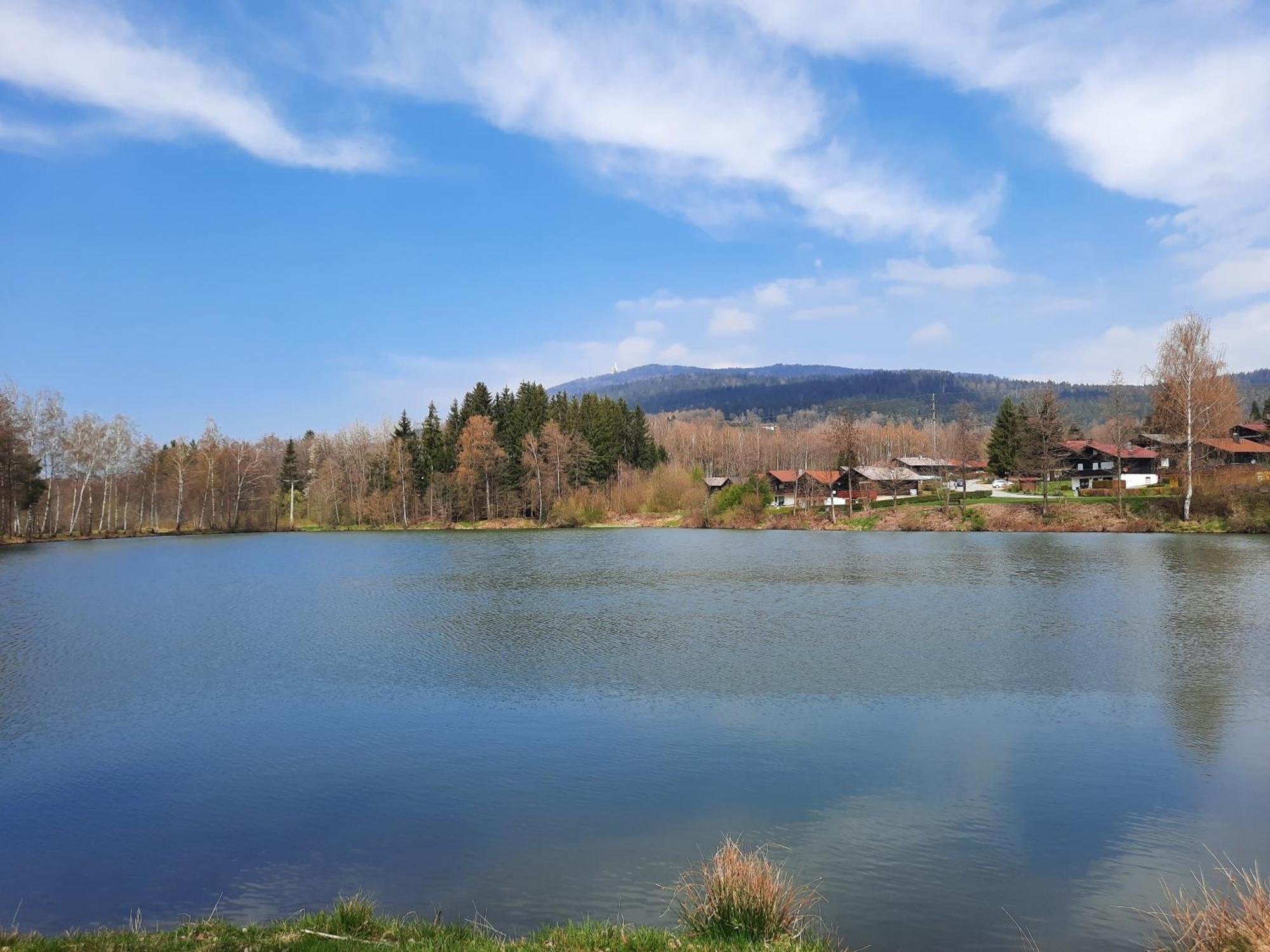 Fewo Bayerischer Wald Im Lamer Winkel 阿尔拉赫 外观 照片