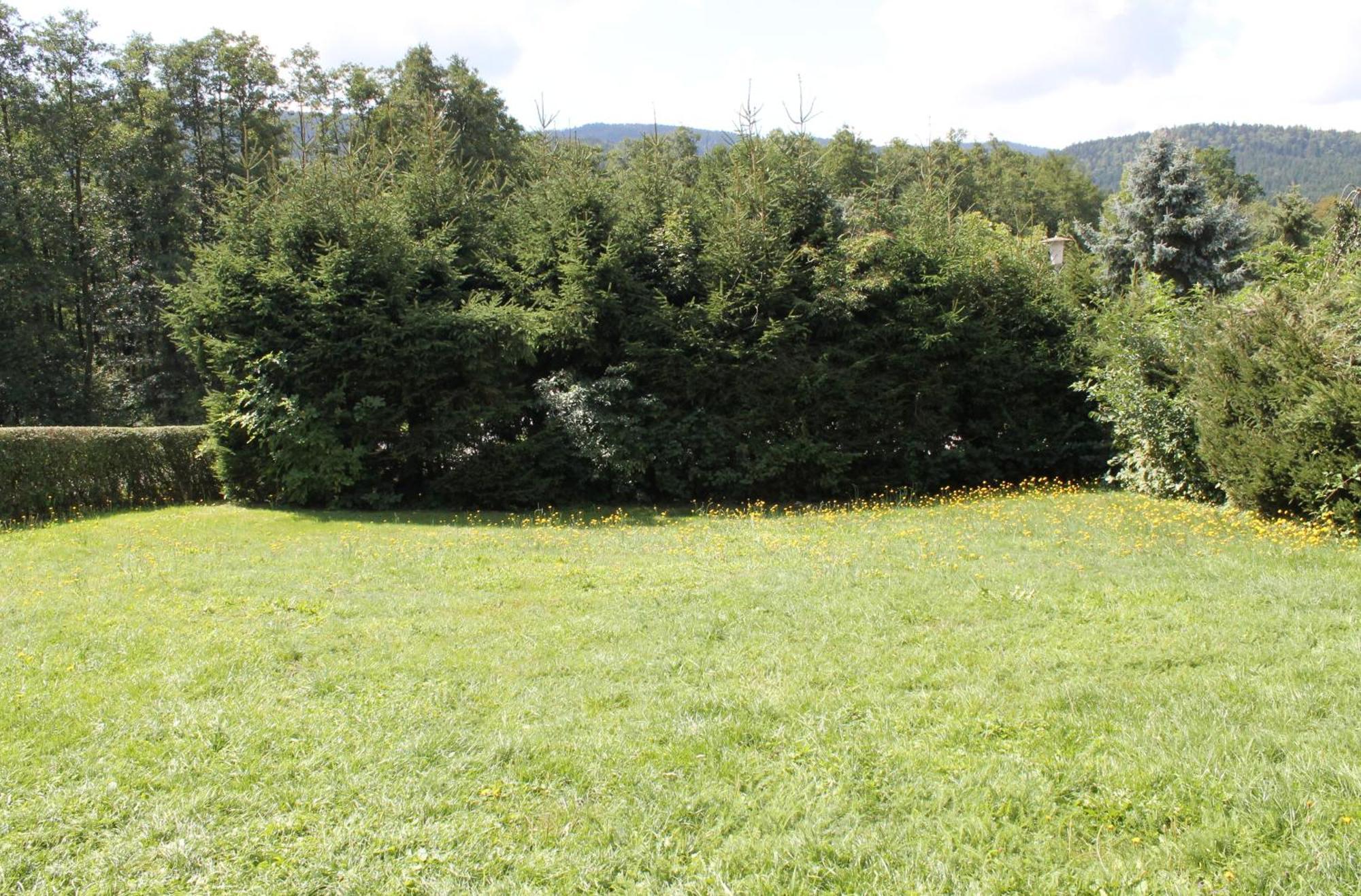 Fewo Bayerischer Wald Im Lamer Winkel 阿尔拉赫 外观 照片